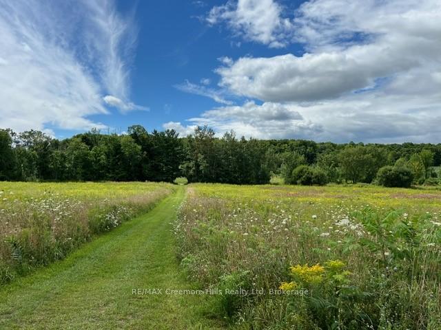 Photo 11 of 2332 Centre Line Road, Clearview, Rural Clearview — HOMEH