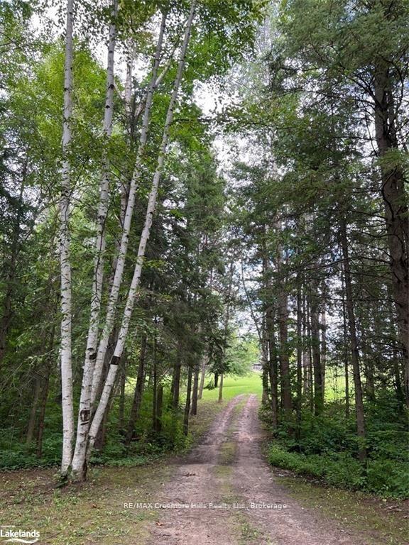 Photo 12 of 2332 Centre Line Road, Clearview, Rural Clearview — HOMEH