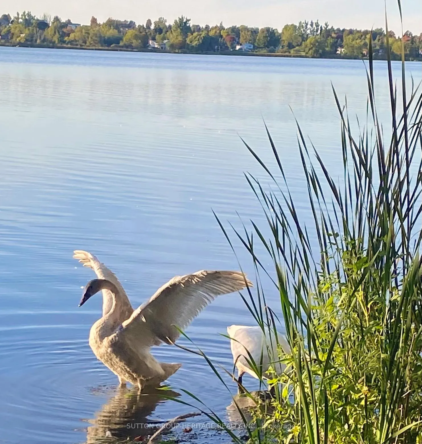 Photo 47 of 499 Fralicks Beach Road, Scugog, Rural Scugog — HOMEH