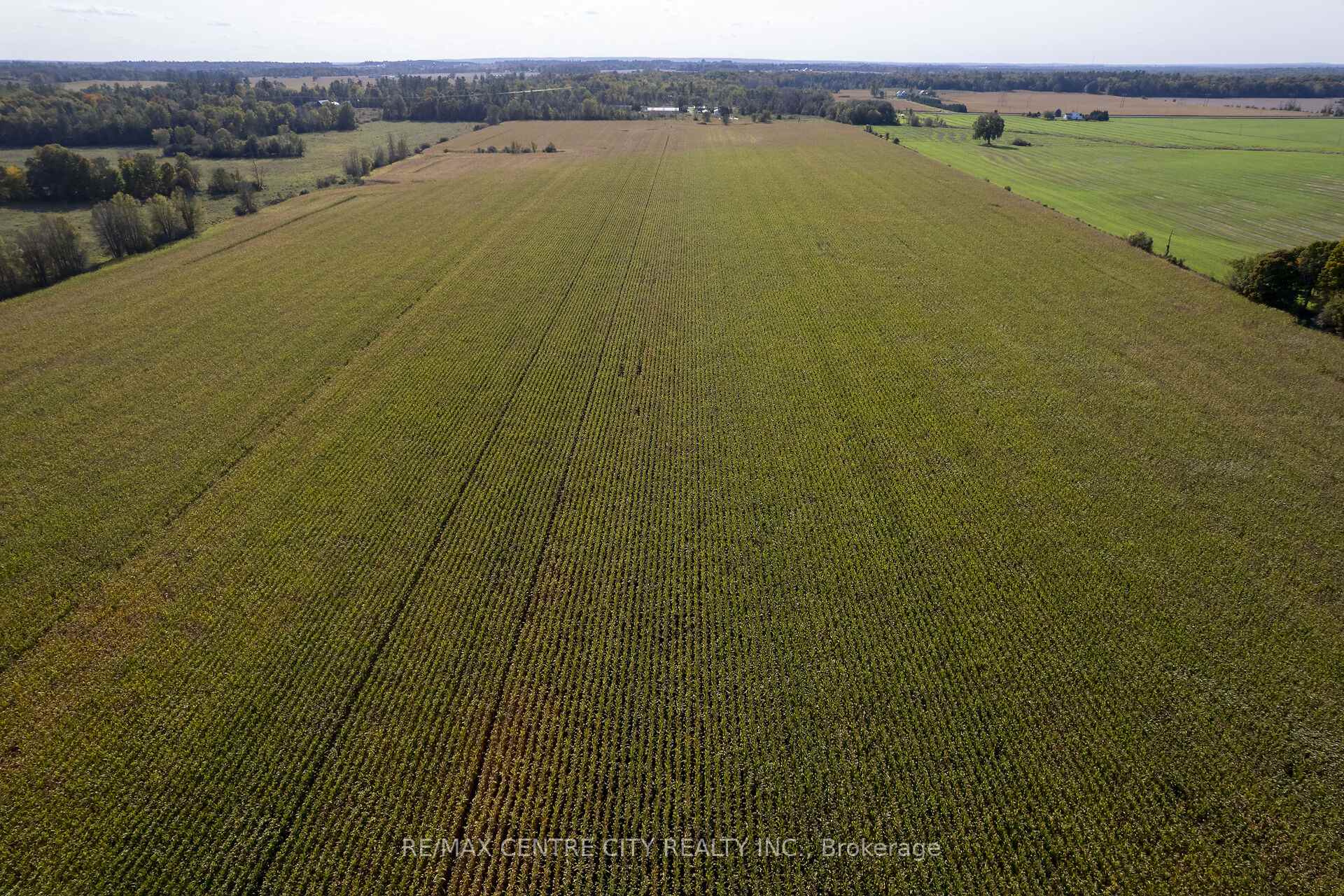 Photo 10 of PT LT 1 Carp Road, Ottawa, Dunrobin — HOMEH