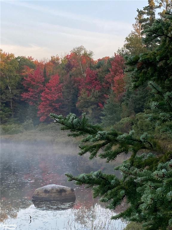 Photo 38 of Unit North Shore, Henry, Magnetawan — HOMEH