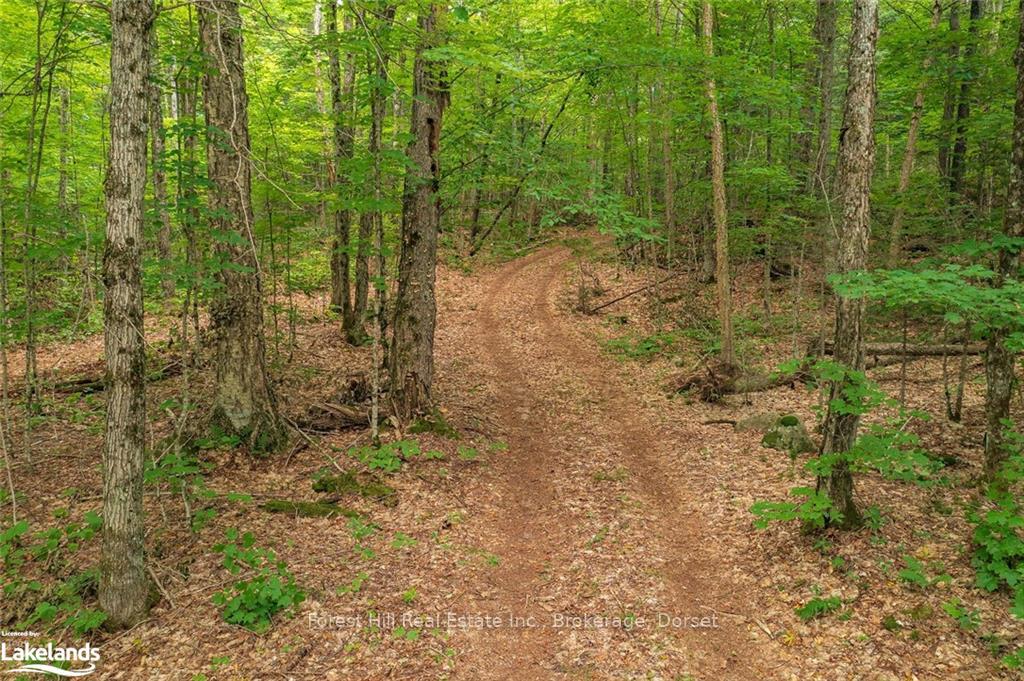 Photo 42 of Unit North Shore, Henry, Magnetawan — HOMEH