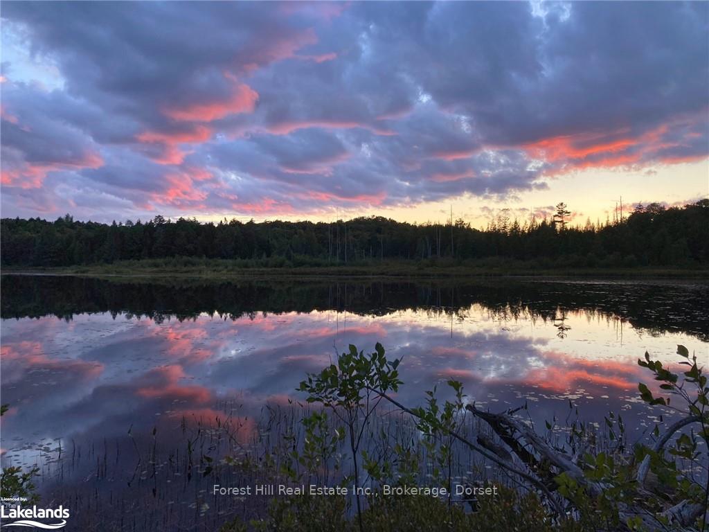 Photo 44 of Unit North Shore, Henry, Magnetawan — HOMEH