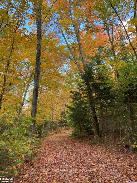 Photo 47 of Unit North Shore, Henry, Magnetawan — HOMEH