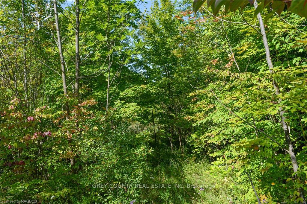 Photo 13 of 396436 2, Chatsworth — HOMEH