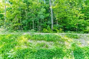 Photo 4 of Lot 41 Explorers Landing, Tiny, Rural Tiny — HOMEH