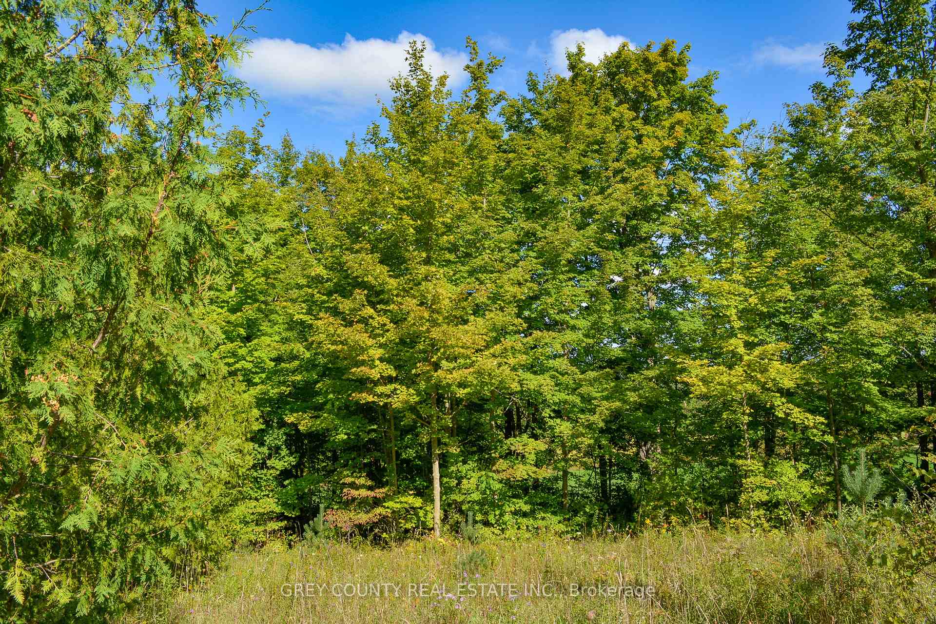 Photo 3 of 396436 2 Concession Road, Chatsworth — HOMEH
