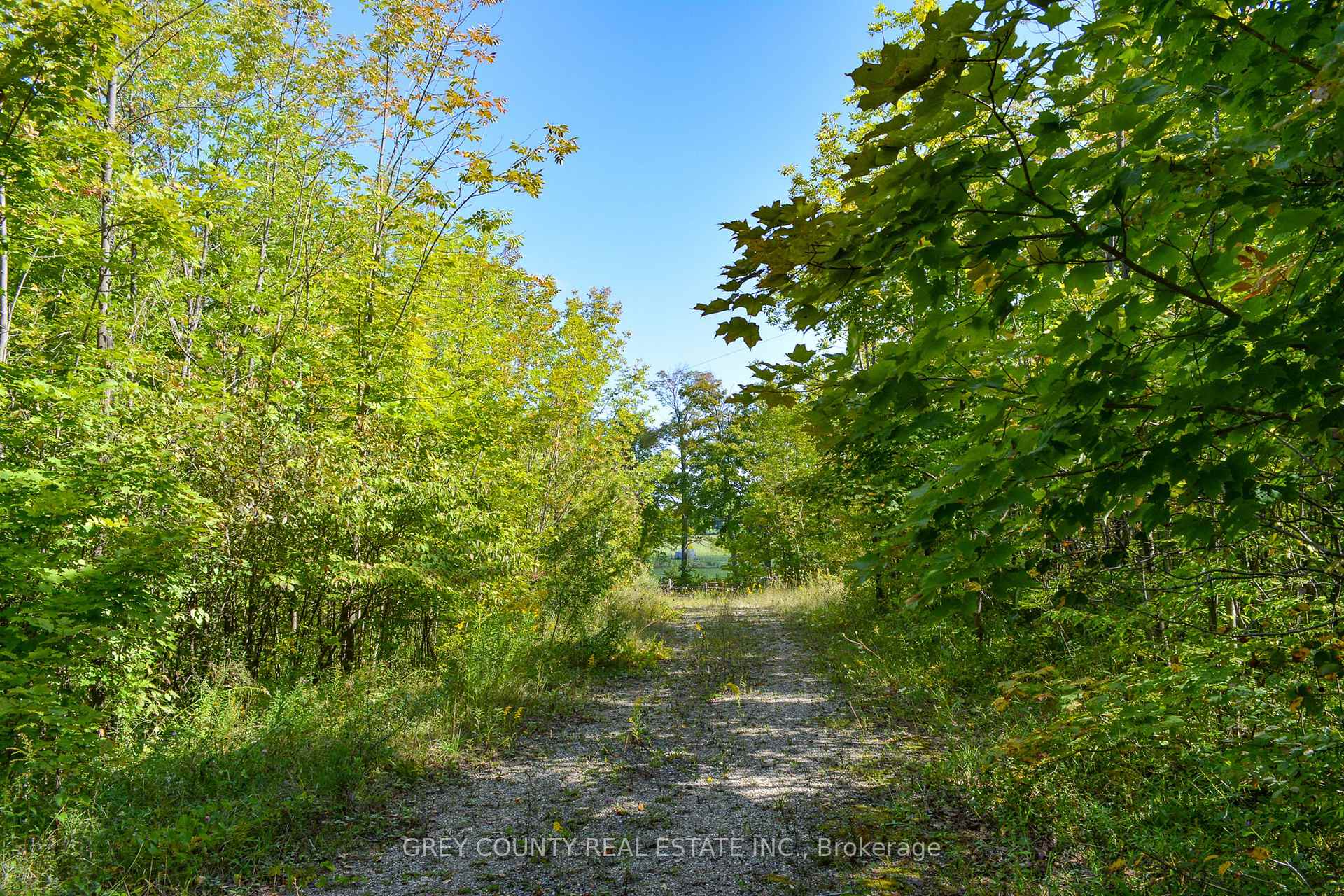 Photo 12 of 396436 2 Concession Road, Chatsworth — HOMEH