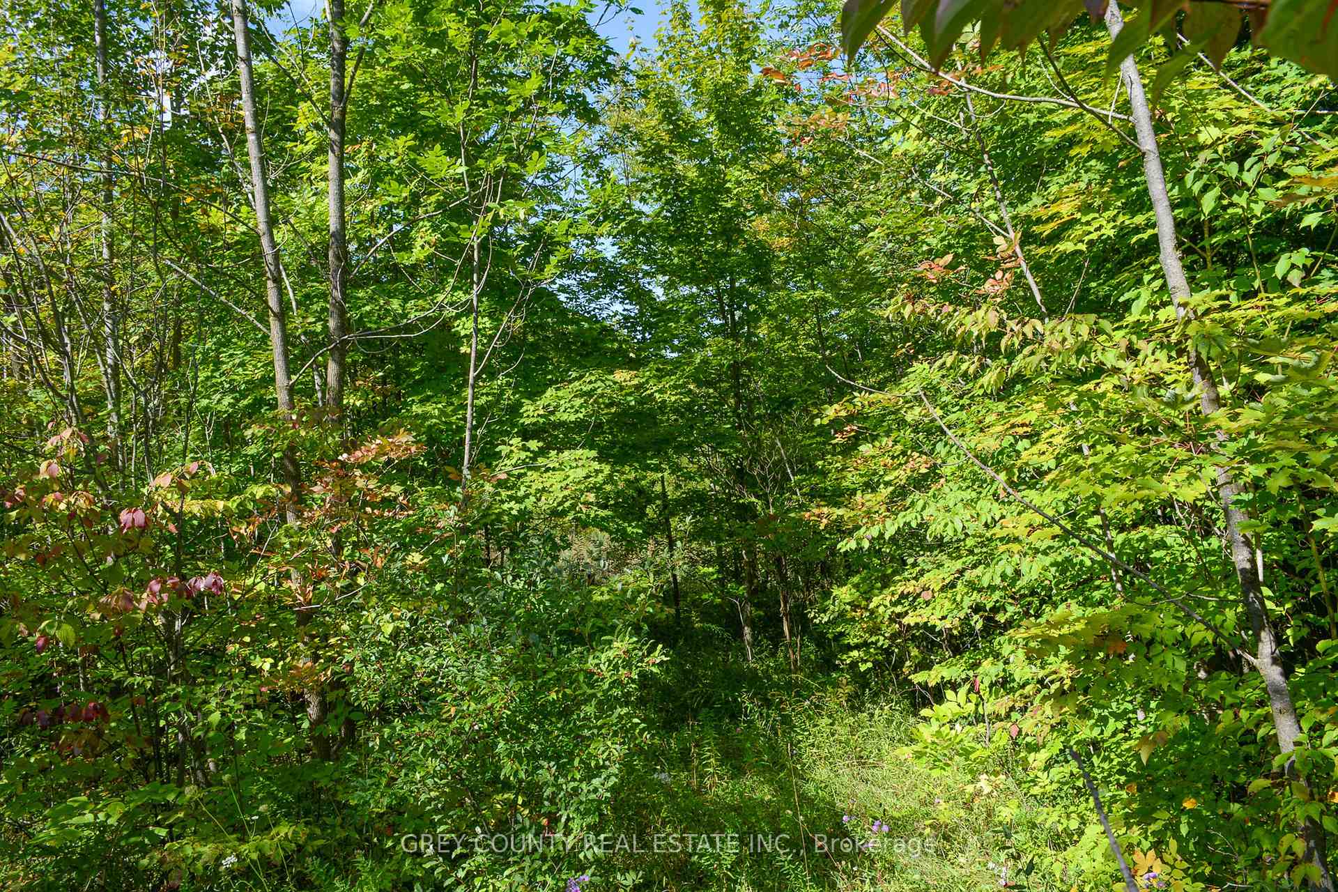 Photo 13 of 396436 2 Concession Road, Chatsworth — HOMEH