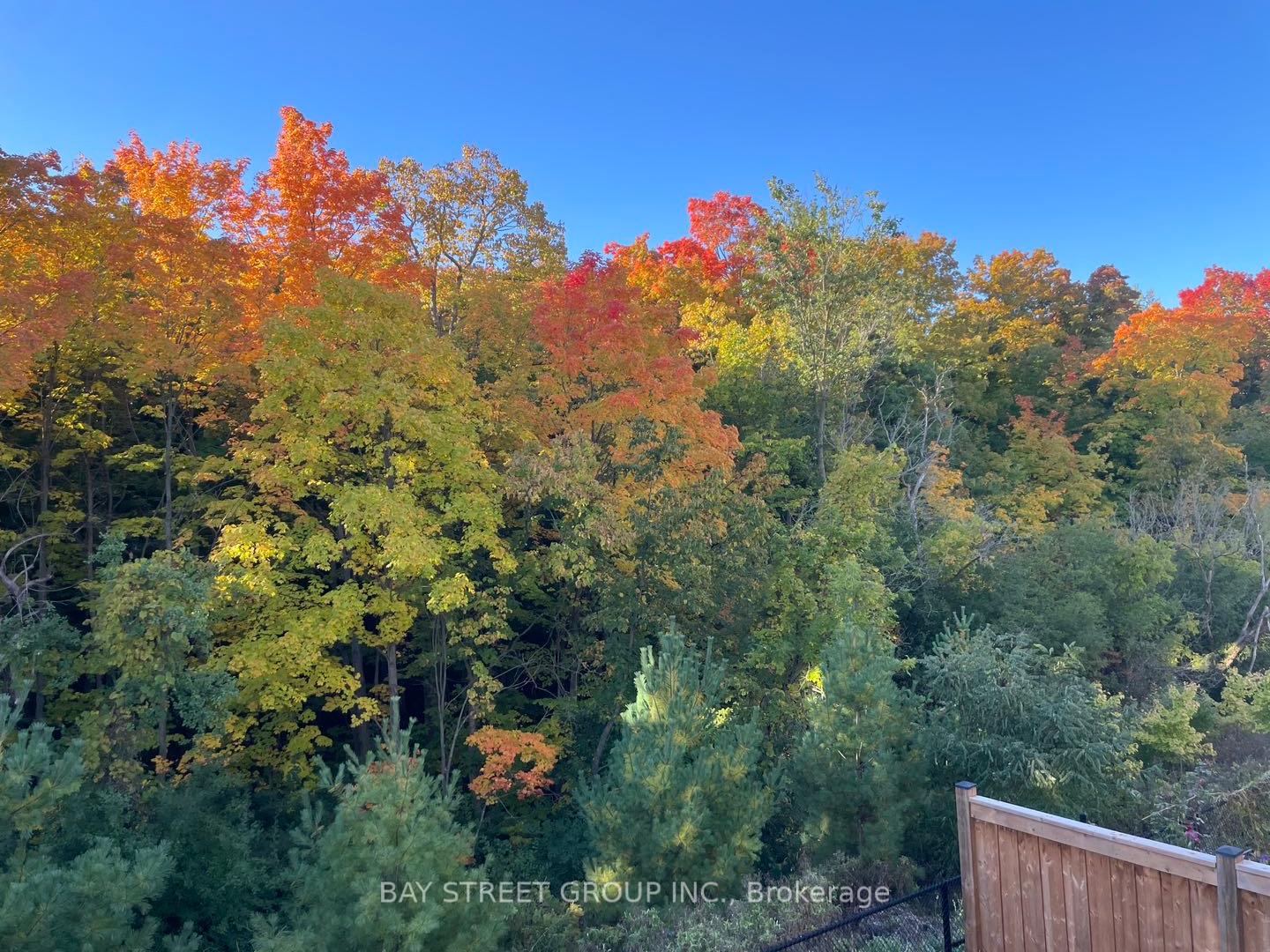 Photo 39 of 68 Homer Crescent, Aurora, Rural Aurora — HOMEH
