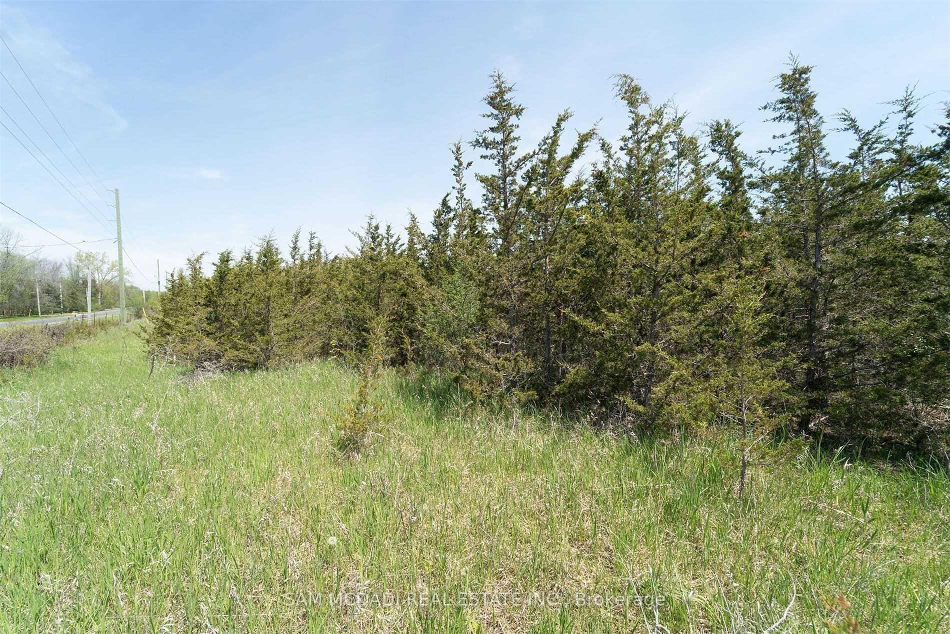 Photo 14 of 00 Mitchell Road, Belleville, Belleville Ward — HOMEH
