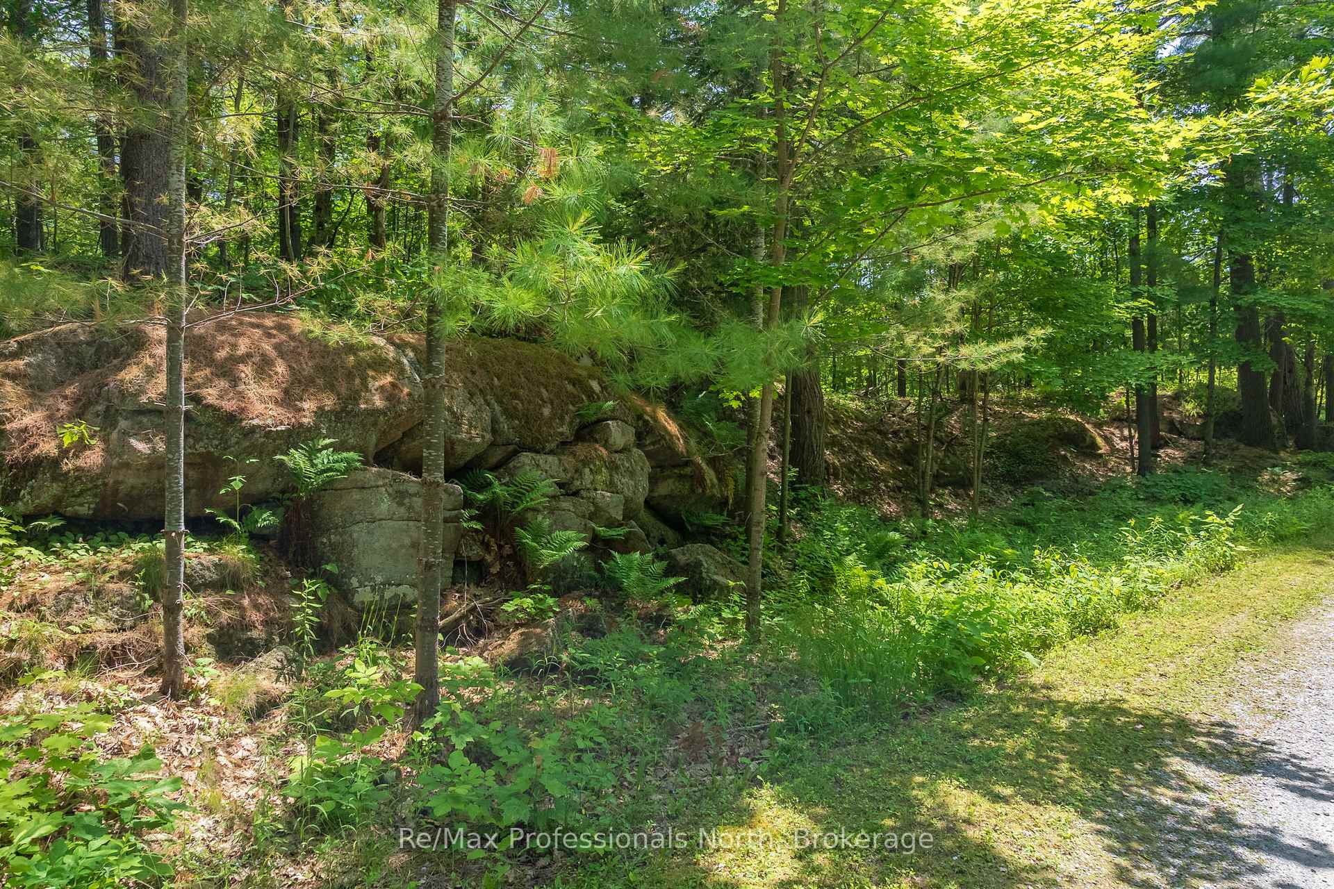 Photo 35 of 1279 Graham Road, Gravenhurst, Morrison — HOMEH