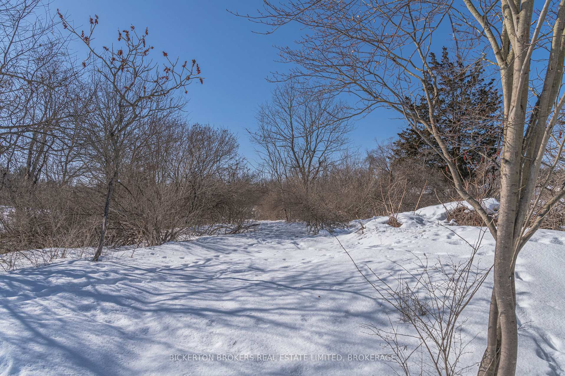 Photo 4 of 110 Birch Street N, Gananoque — HOMEH