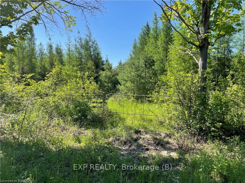Photo 3 of LT 13 10 Side Road, Chatsworth — HOMEH