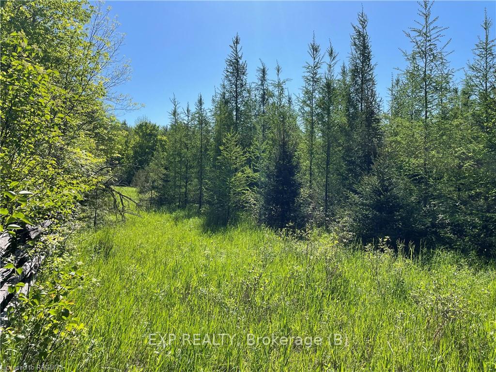 Photo 4 of LT 13 10 Side Road, Chatsworth — HOMEH