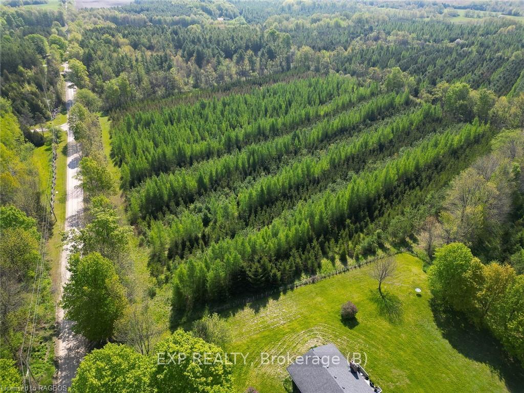 Photo 5 of LT 13 10 Side Road, Chatsworth — HOMEH