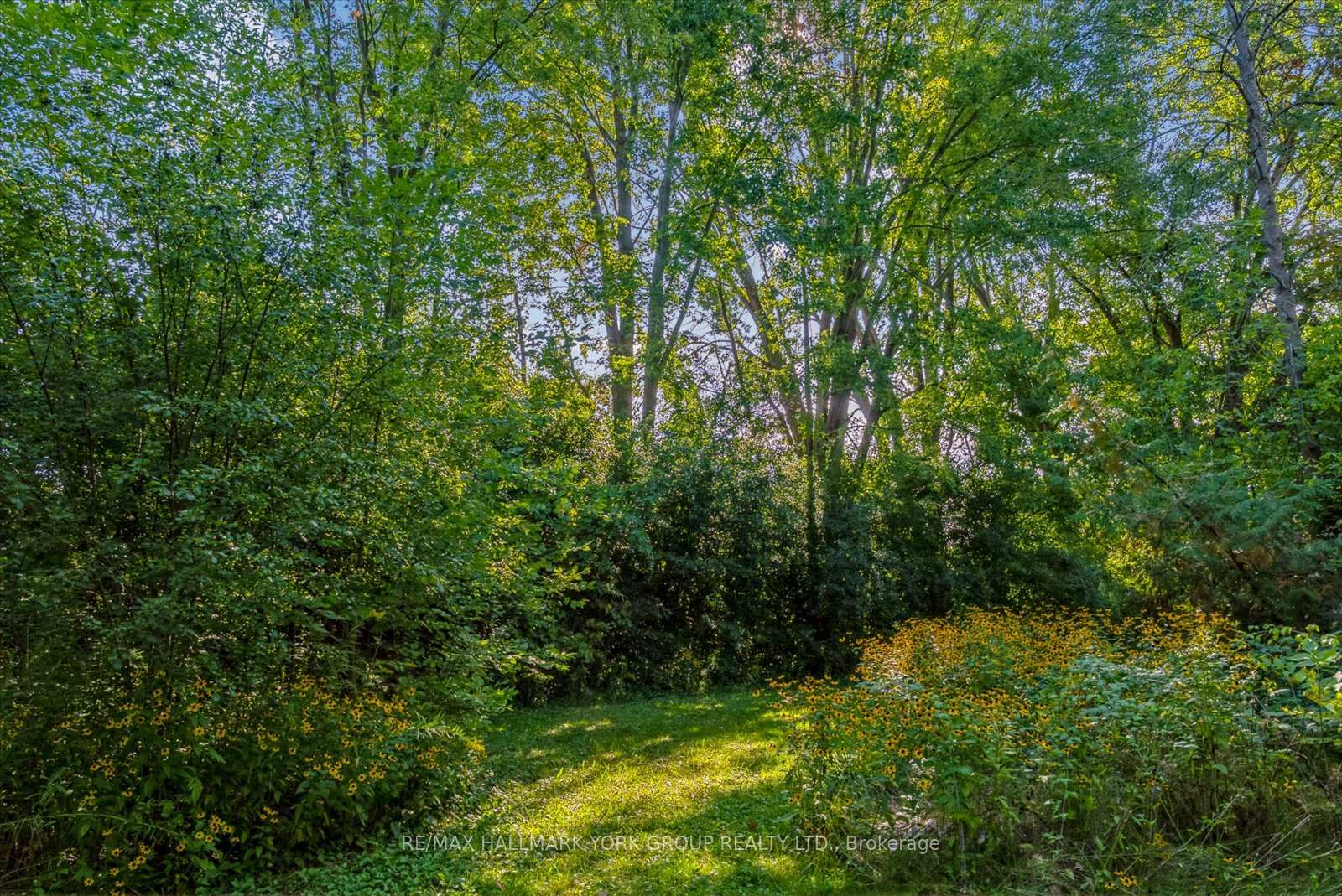 Photo 19 of 12 Cedarbrook Drive, Georgina, Pefferlaw — HOMEH