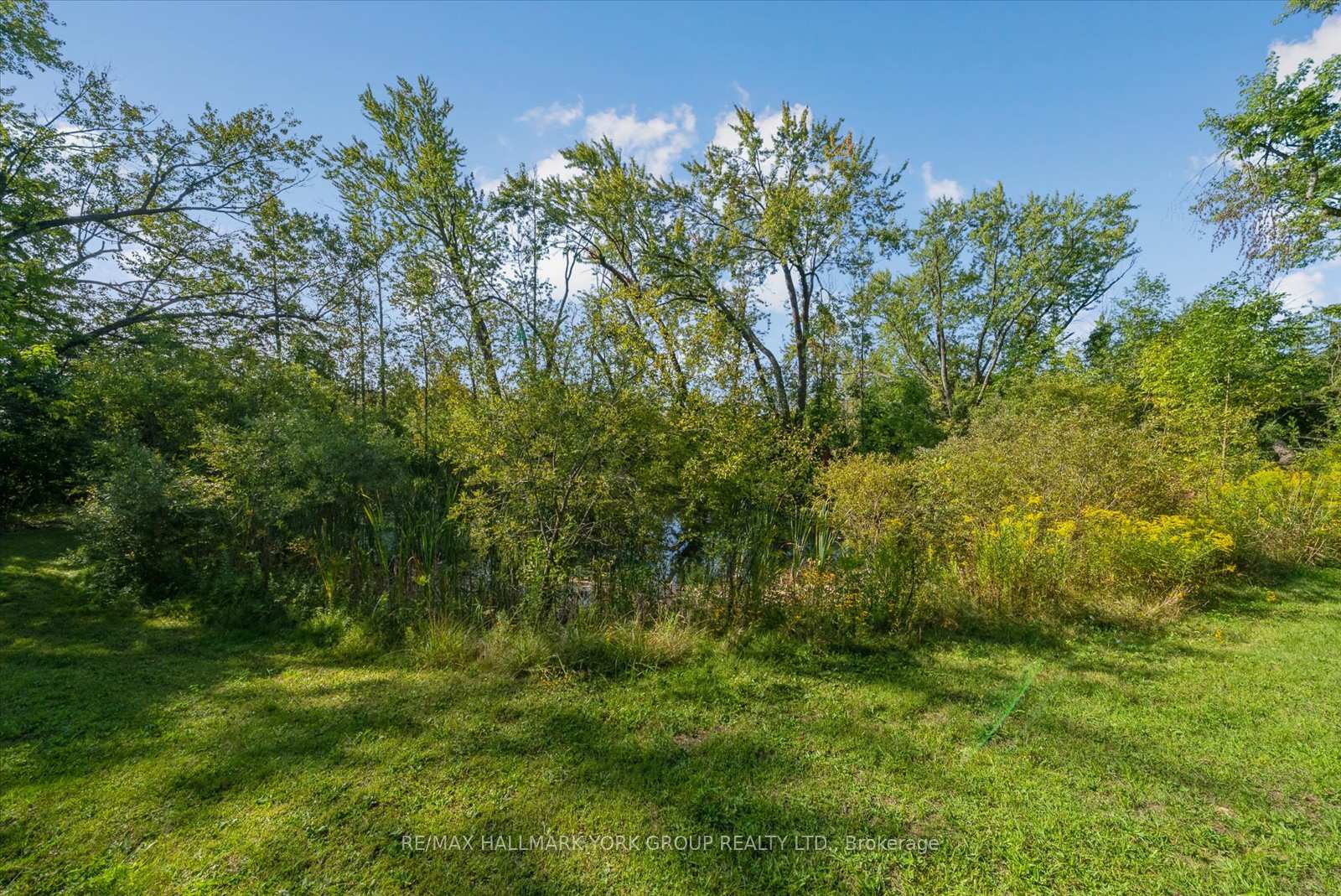 Photo 22 of 12 Cedarbrook Drive, Georgina, Pefferlaw — HOMEH