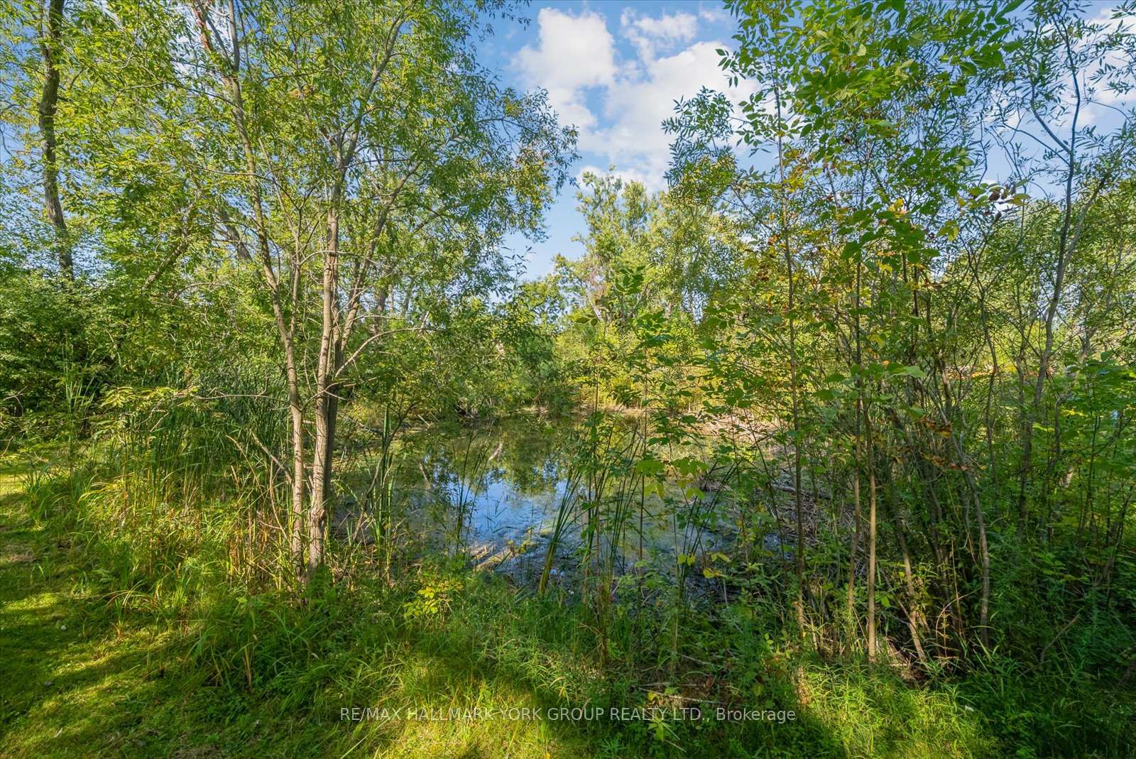 Photo 23 of 12 Cedarbrook Drive, Georgina, Pefferlaw — HOMEH
