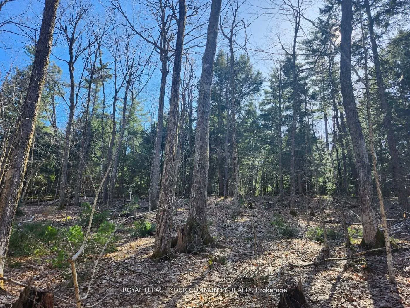 Photo 3 of 1282 Highway 118 Road E, Bracebridge, Muskoka (N) — HOMEH