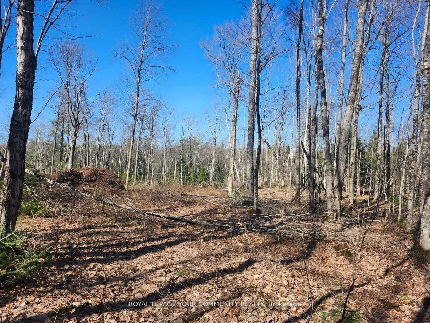 Photo 5 of 1282 Highway 118 Road E, Bracebridge, Muskoka (N) — HOMEH