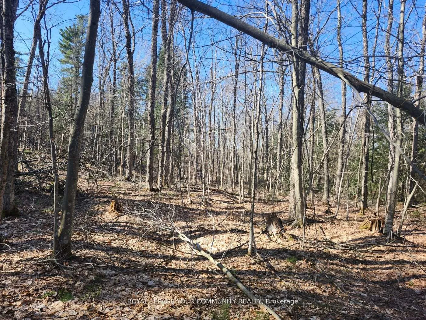 Photo 6 of 1282 Highway 118 Road E, Bracebridge, Muskoka (N) — HOMEH