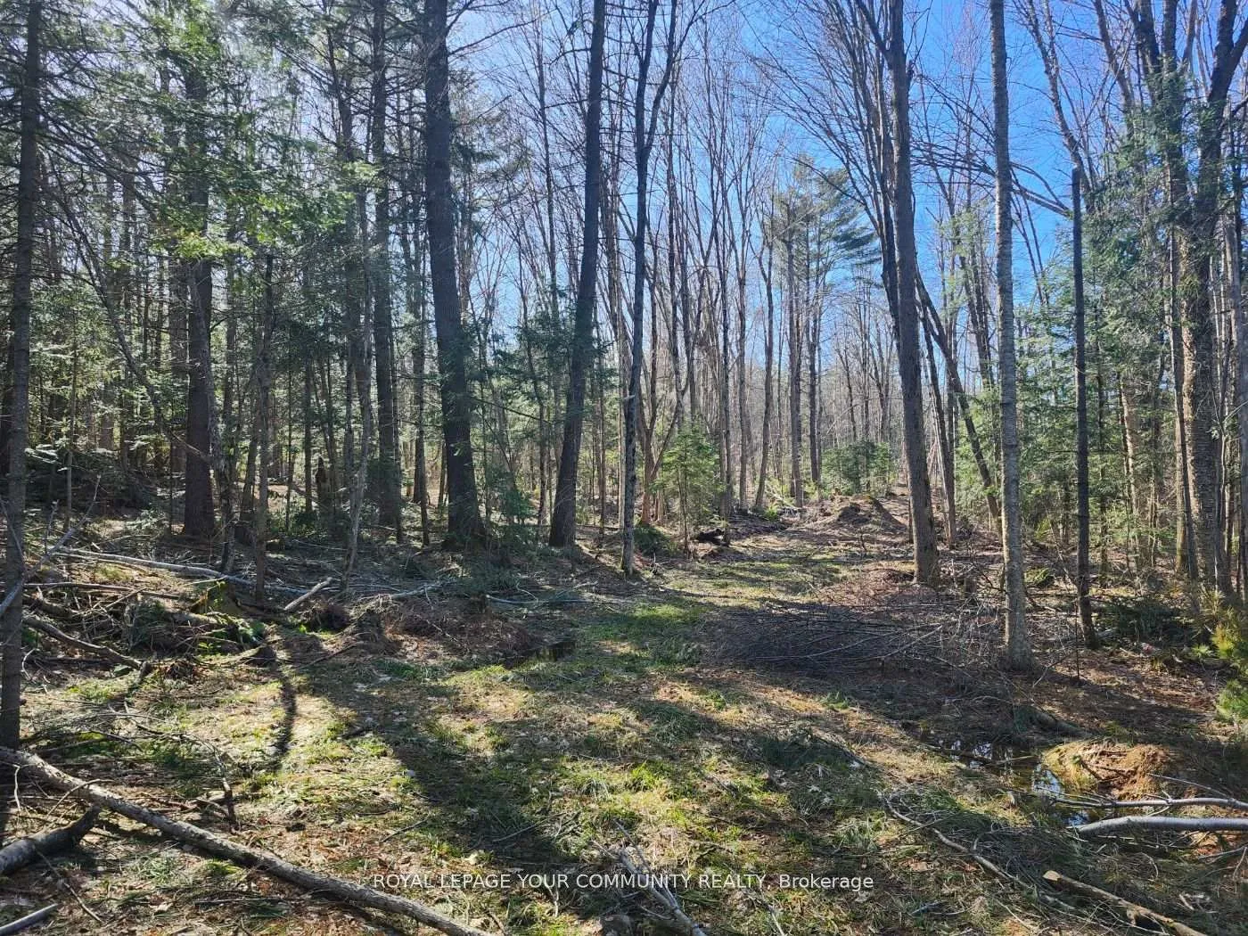 Photo 8 of 1282 Highway 118 Road E, Bracebridge, Muskoka (N) — HOMEH