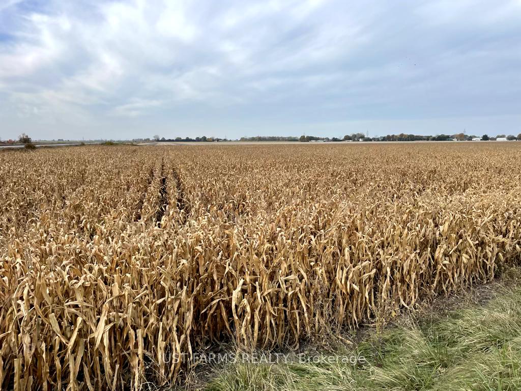 Photo 4 of 6256 Riverview Line, Chatham-Kent, Chatham — HOMEH