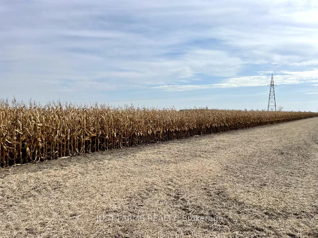 Photo 6 of 6256 Riverview Line, Chatham-Kent, Chatham — HOMEH