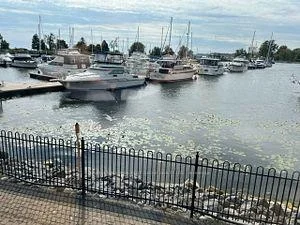 Photo 17 of 600 Liverpool Road W, Pickering, Bay Ridges — HOMEH