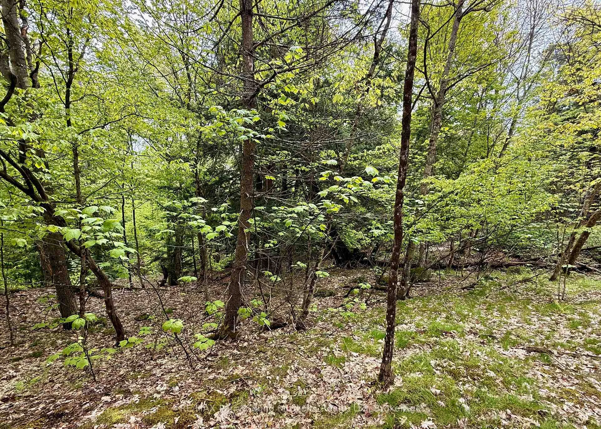 Photo 2 of 13 Harrison Landing Road, Carling — HOMEH