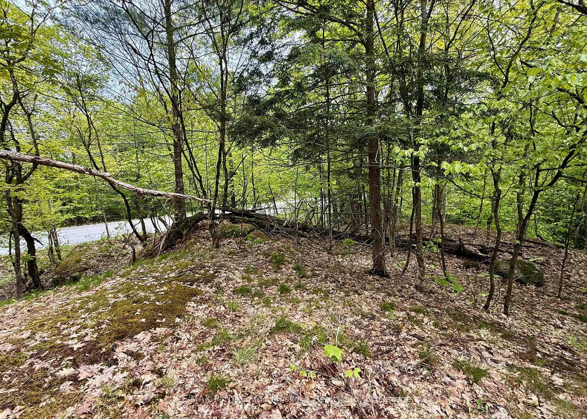 Photo 3 of 13 Harrison Landing Road, Carling — HOMEH