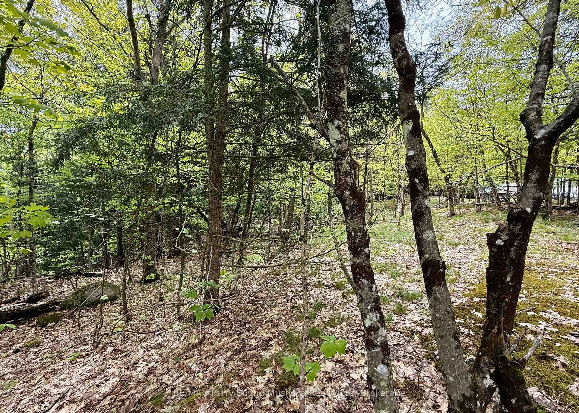 Photo 4 of 13 Harrison Landing Road, Carling — HOMEH