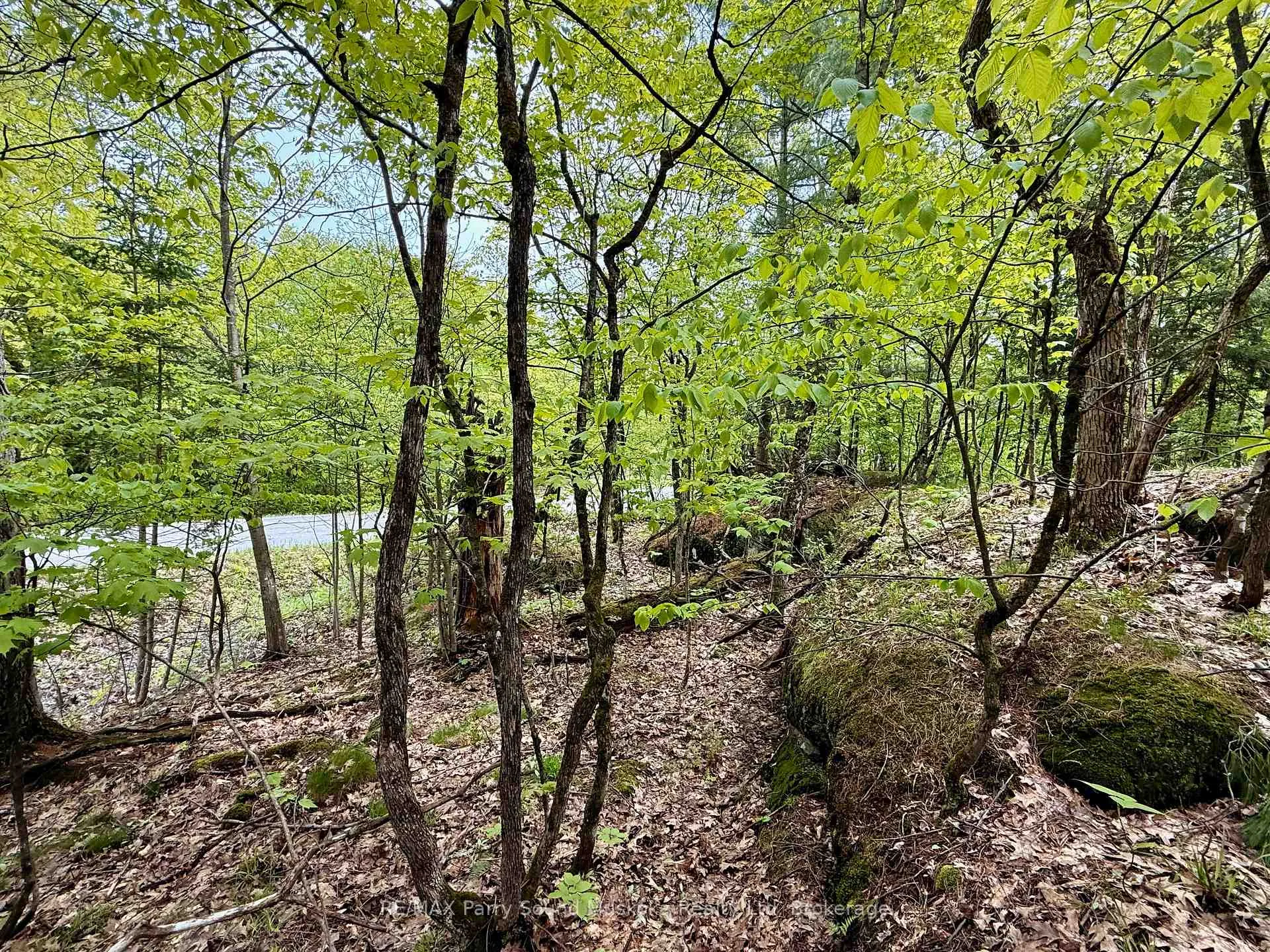 Photo 5 of 13 Harrison Landing Road, Carling — HOMEH