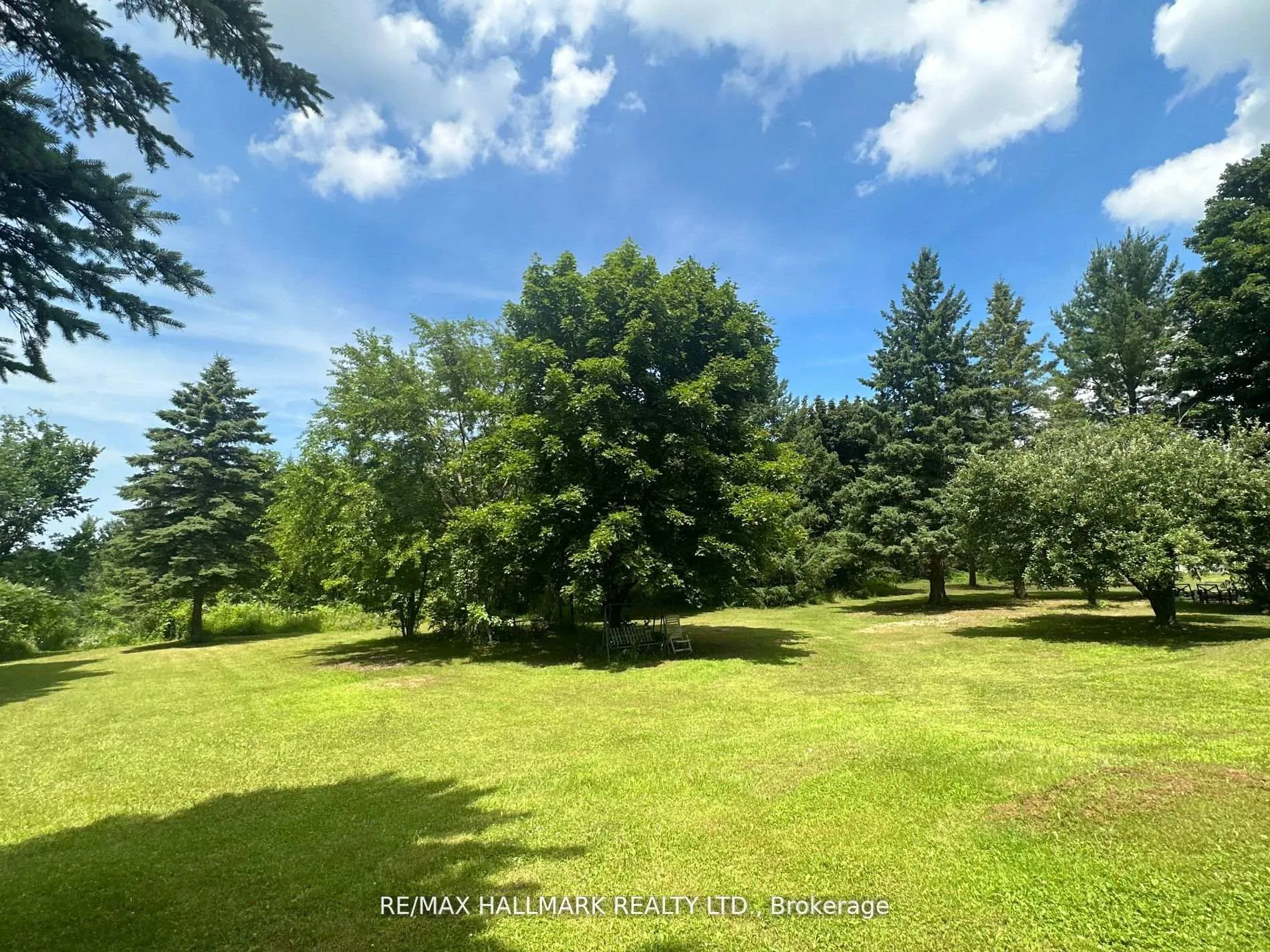 Photo 8 of 2422 Snow Valley Road, Springwater, Snow Valley — HOMEH