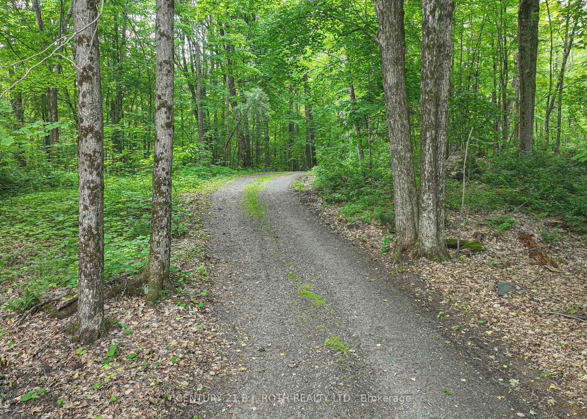 Photo 47 of 1007 1100 Road, Gravenhurst, Morrison — HOMEH
