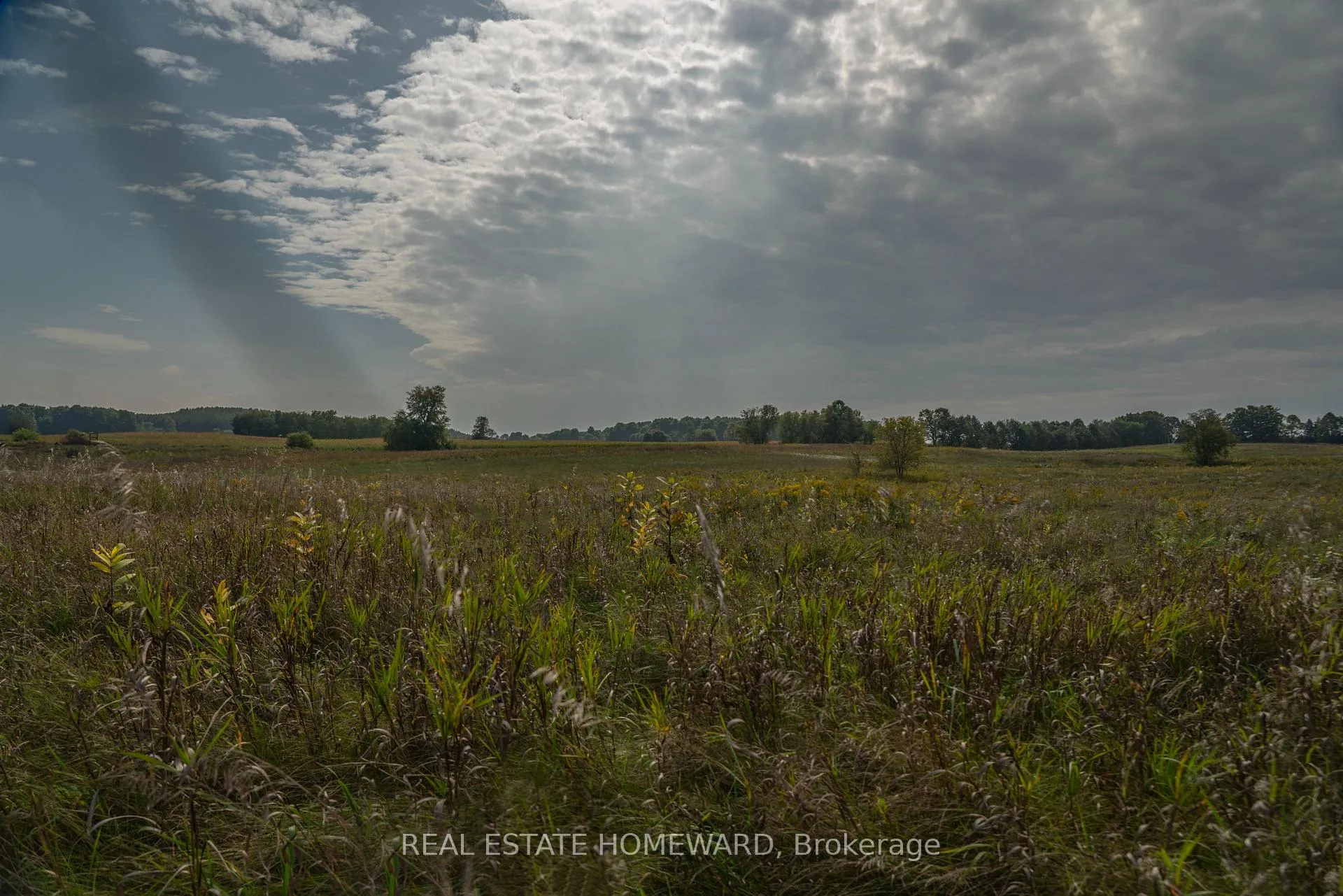 Photo 9 of 1430 County Rd 50 S, Adjala-Tosorontio, Rural Adjala-Tosorontio — HOMEH