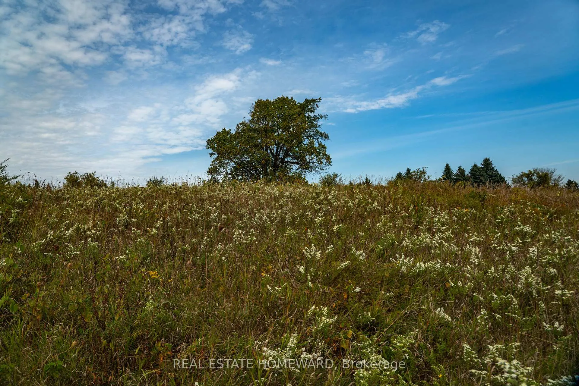 Photo 13 of 1430 County Rd 50 S, Adjala-Tosorontio, Rural Adjala-Tosorontio — HOMEH