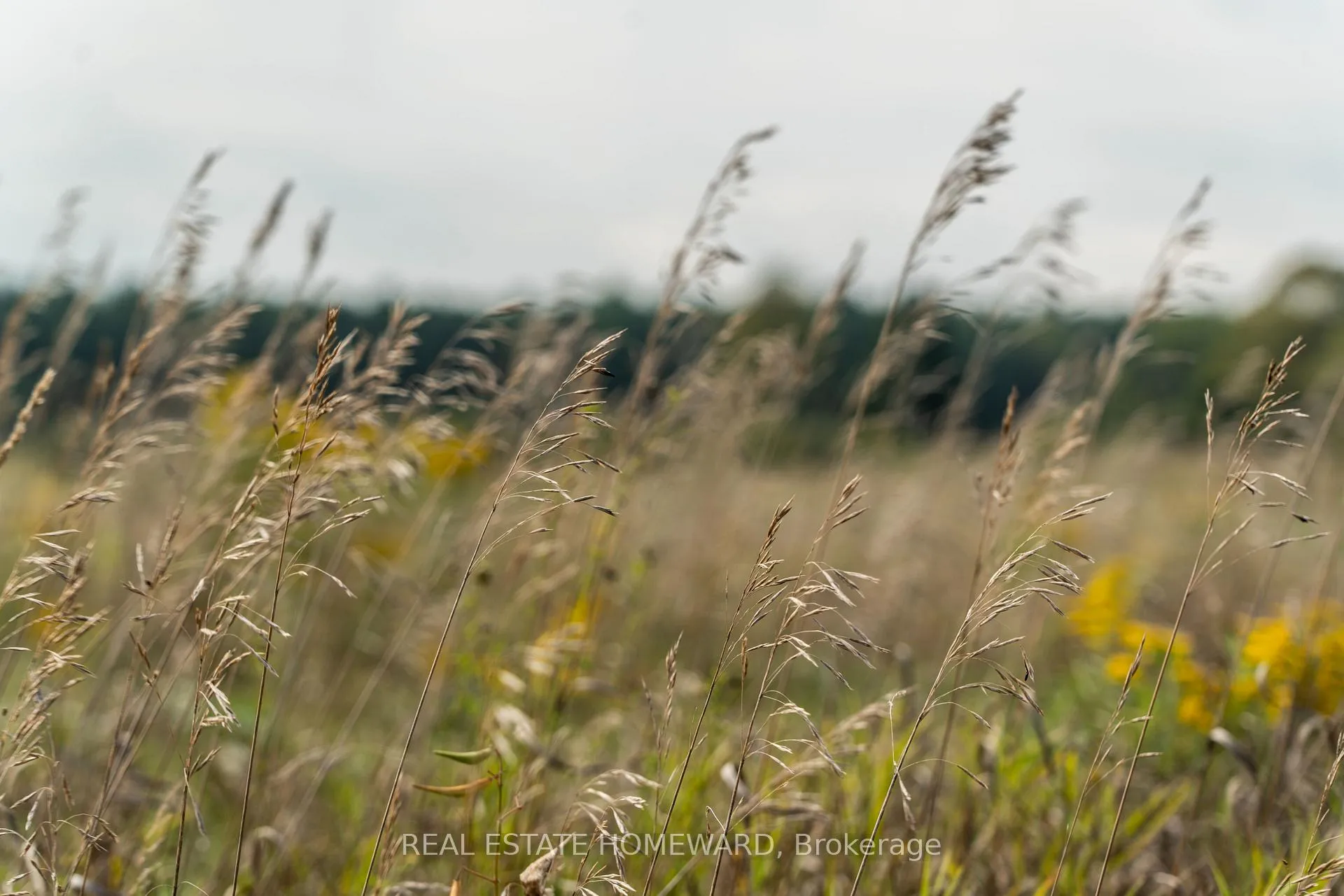 Photo 14 of 1430 County Rd 50 S, Adjala-Tosorontio, Rural Adjala-Tosorontio — HOMEH