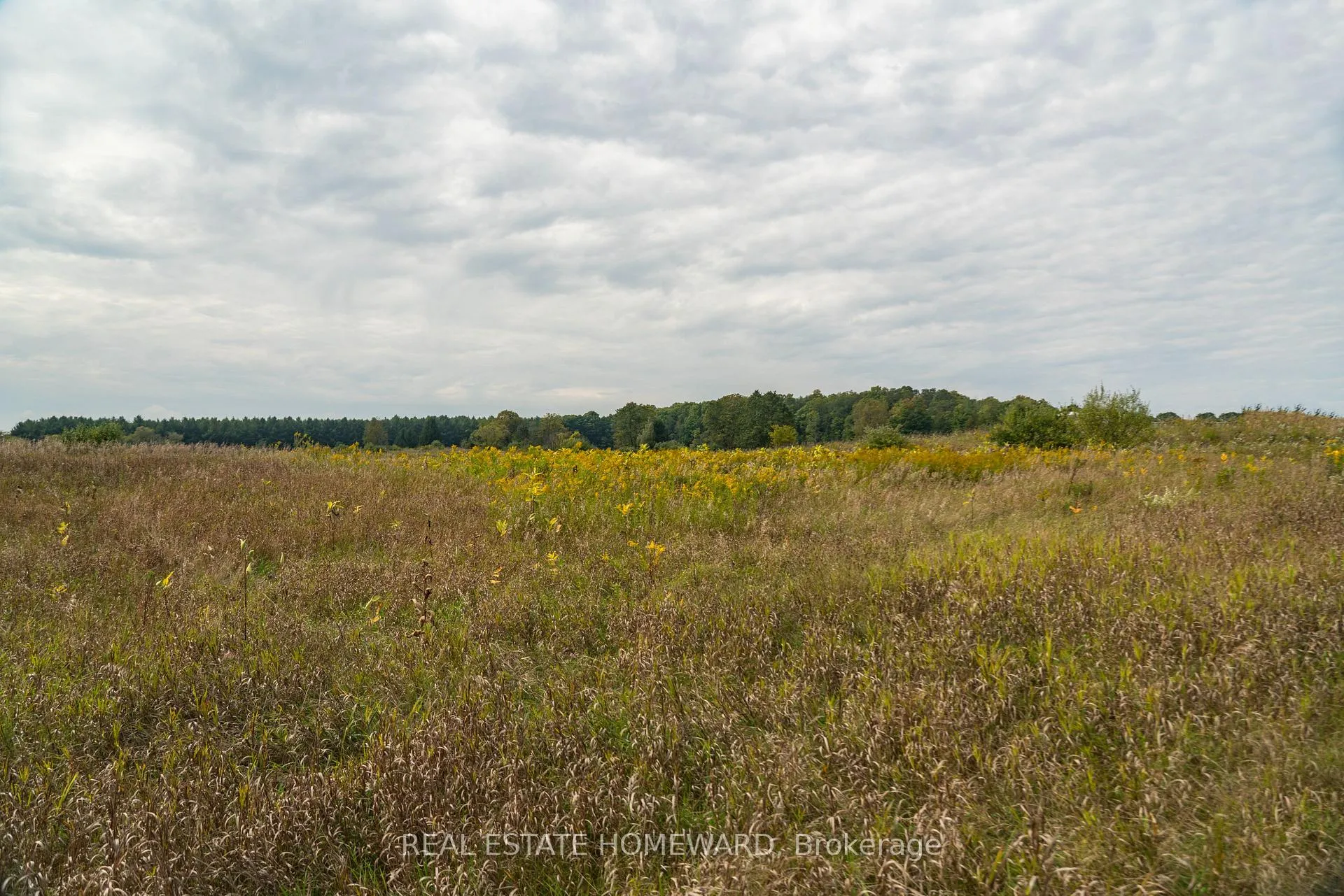 Photo 15 of 1430 County Rd 50 S, Adjala-Tosorontio, Rural Adjala-Tosorontio — HOMEH