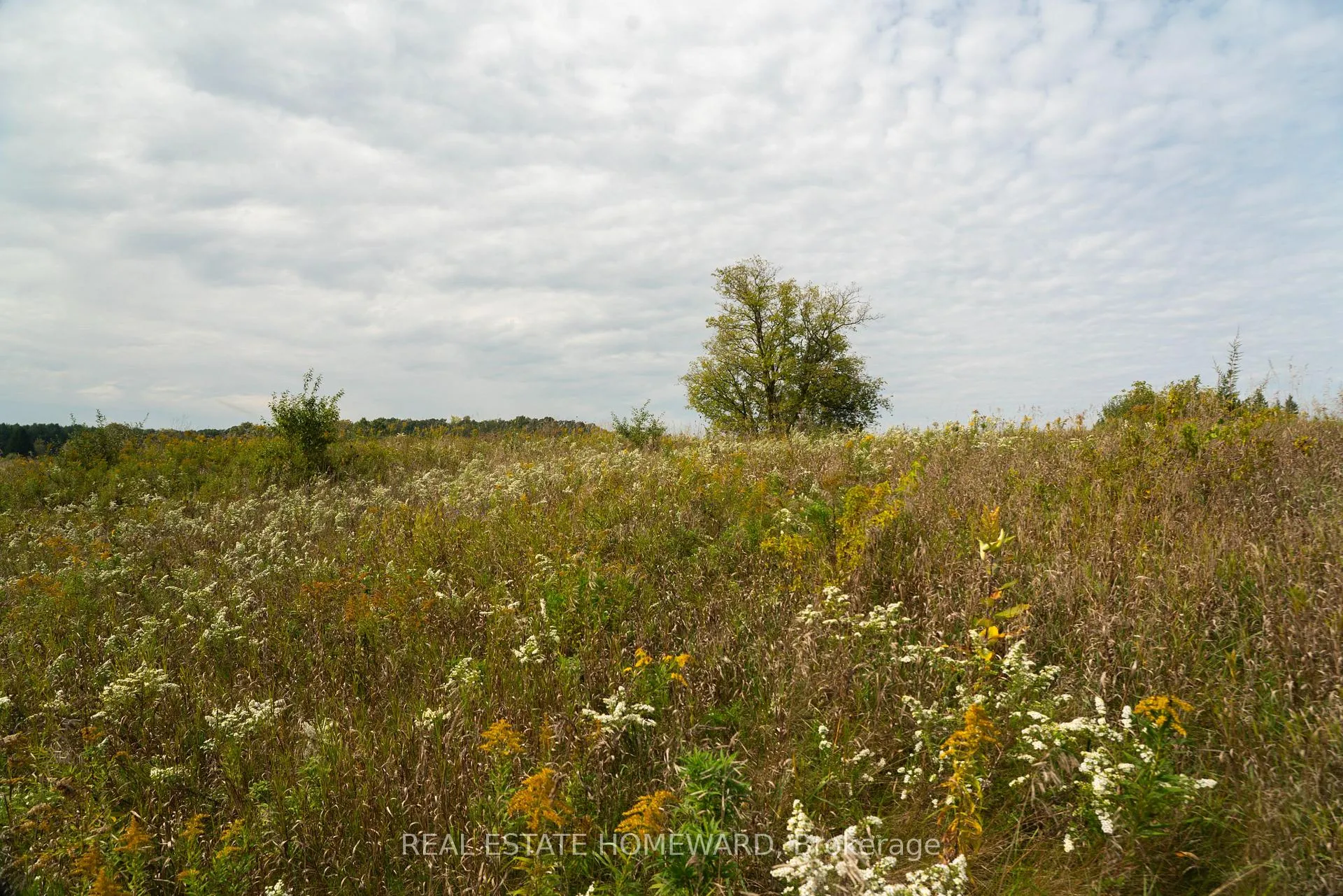 Photo 16 of 1430 County Rd 50 S, Adjala-Tosorontio, Rural Adjala-Tosorontio — HOMEH