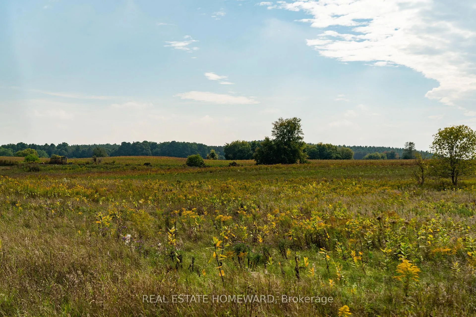 Photo 17 of 1430 County Rd 50 S, Adjala-Tosorontio, Rural Adjala-Tosorontio — HOMEH