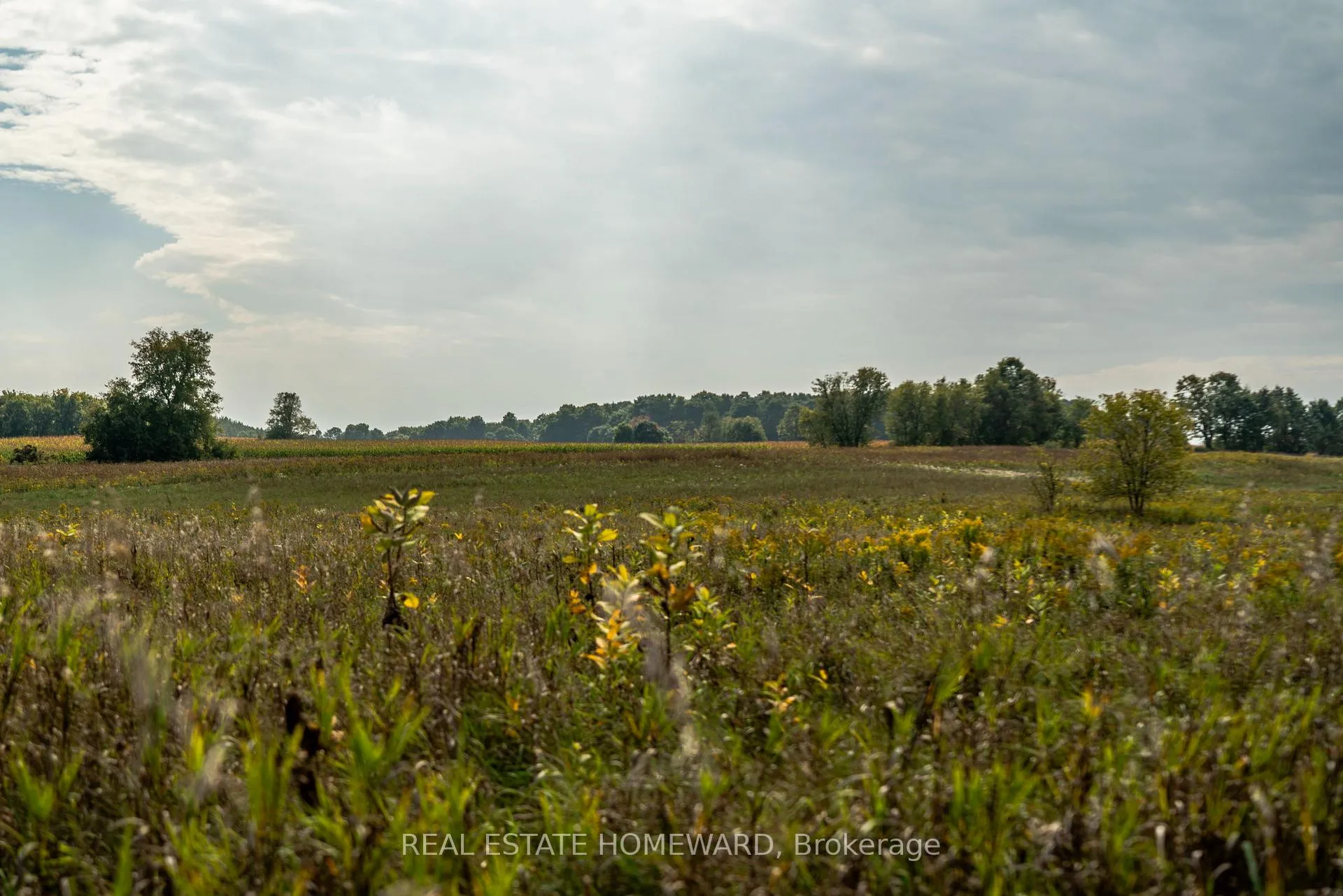 Photo 19 of 1430 County Rd 50 S, Adjala-Tosorontio, Rural Adjala-Tosorontio — HOMEH
