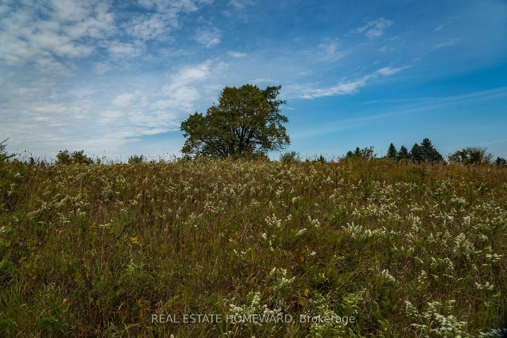 Photo 6 of 1430 County Rd 50 S, Adjala-Tosorontio, Rural Adjala-Tosorontio — HOMEH