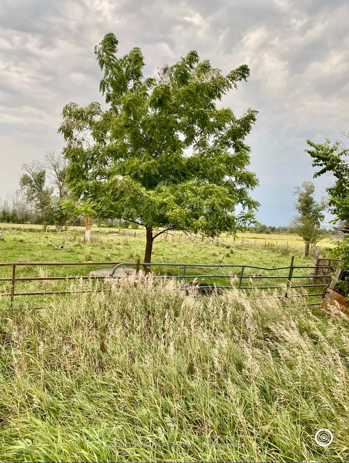 Photo 14 of 5944 10th Line, Essa, Rural Essa — HOMEH