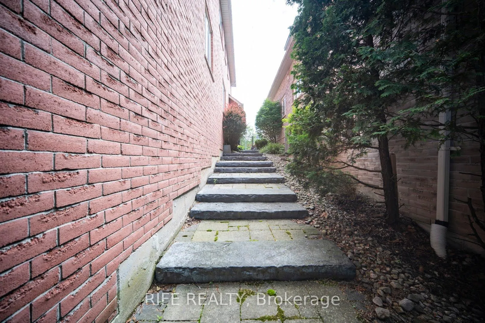 Photo 8 of 37 Burndenford Crescent, Markham, Markville — HOMEH