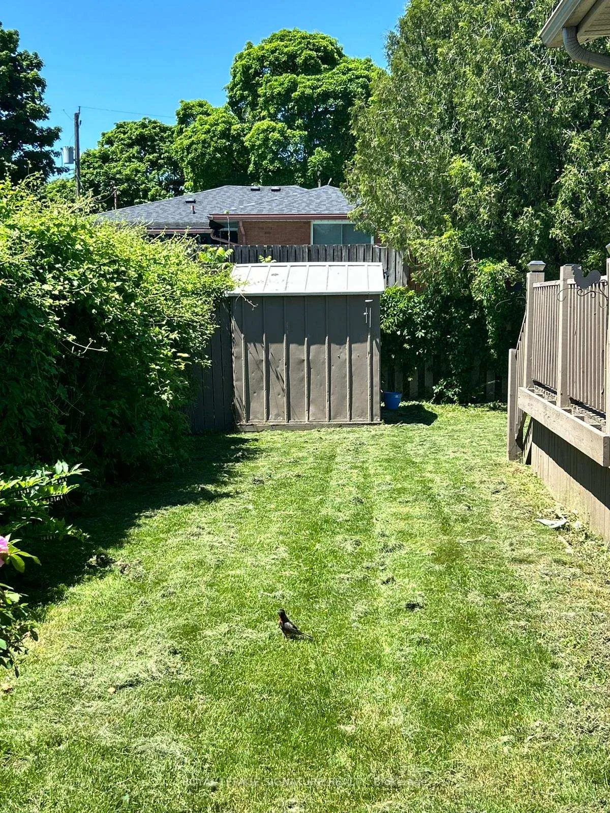 Photo 7 of Unit Bsmt, 258 Shelley Drive, Kitchener, Vanier - Kitchener — HOMEH
