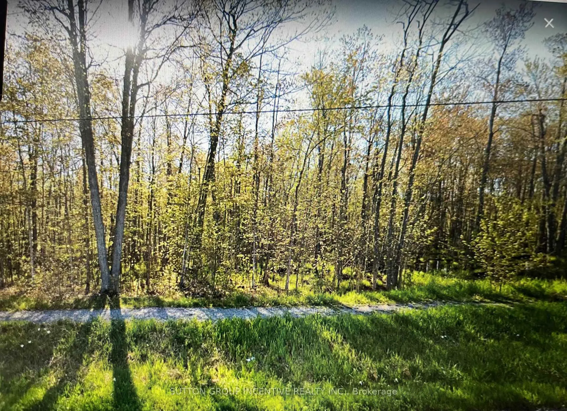 Photo 2 of 7953 Rama Road, Severn, Washago — HOMEH