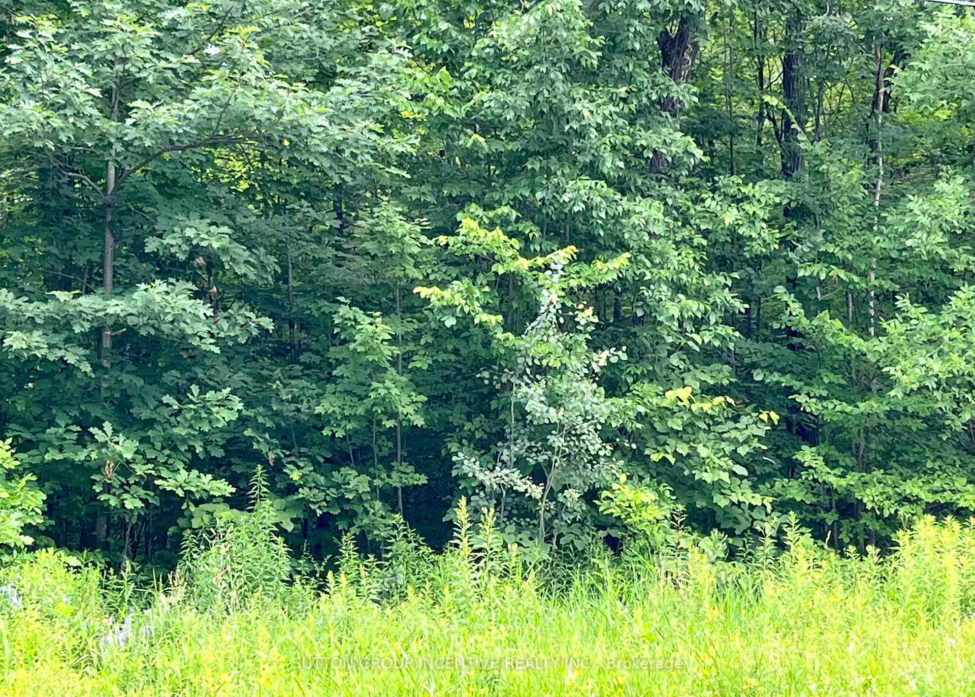 Photo 3 of 7953 Rama Road, Severn, Washago — HOMEH