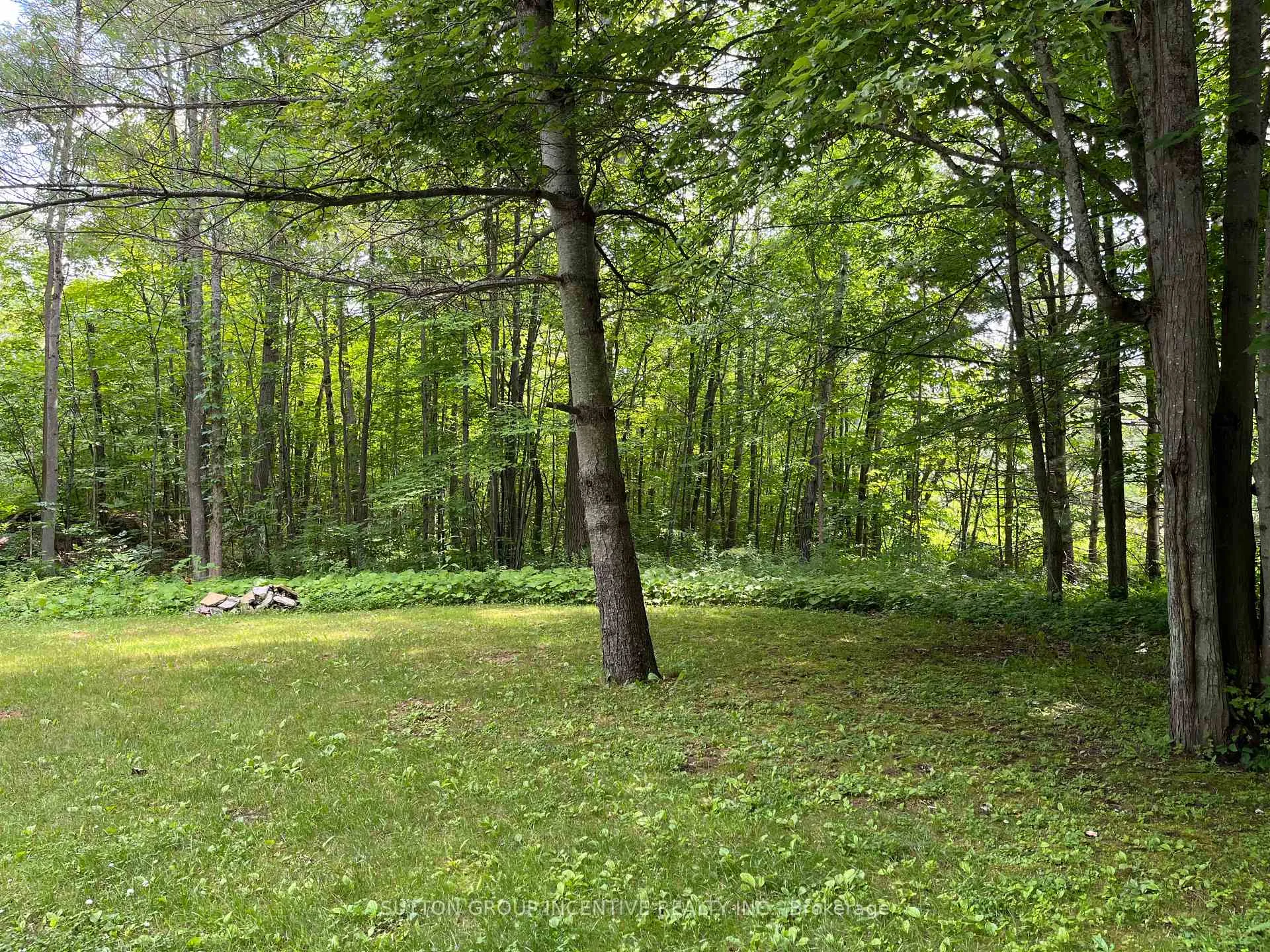 Photo 4 of 7953 Rama Road, Severn, Washago — HOMEH